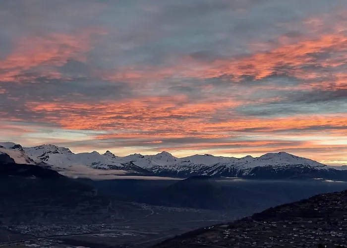 Luxurious In * 베이소나츠